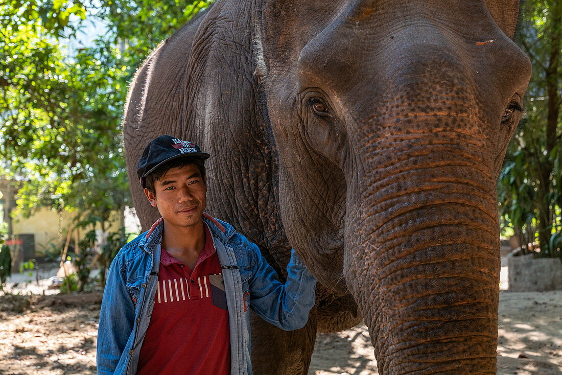 Ein Mahout steht neben einem Elefanten im einer Elefantenaufnahmestation, Pak Ou, Provinz Luang Prabang, Laos, Asien