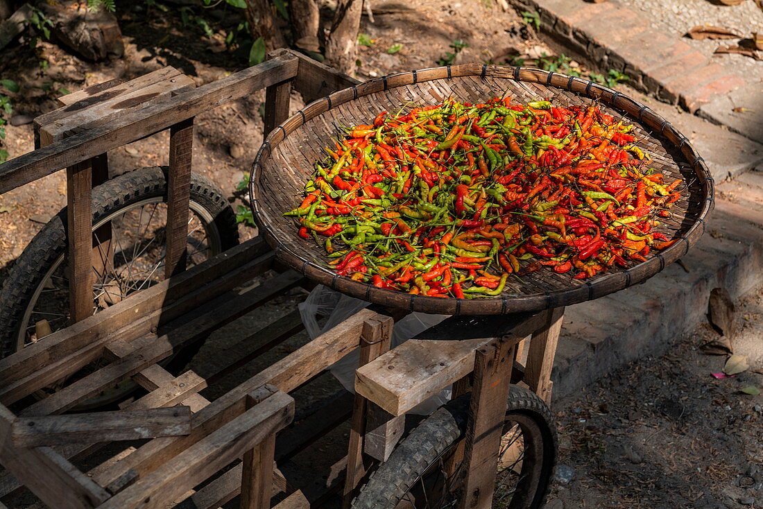 Hot red chillies drying in the sun at the street market, Luang Prabang, Luang Prabang Province, Laos, Asia