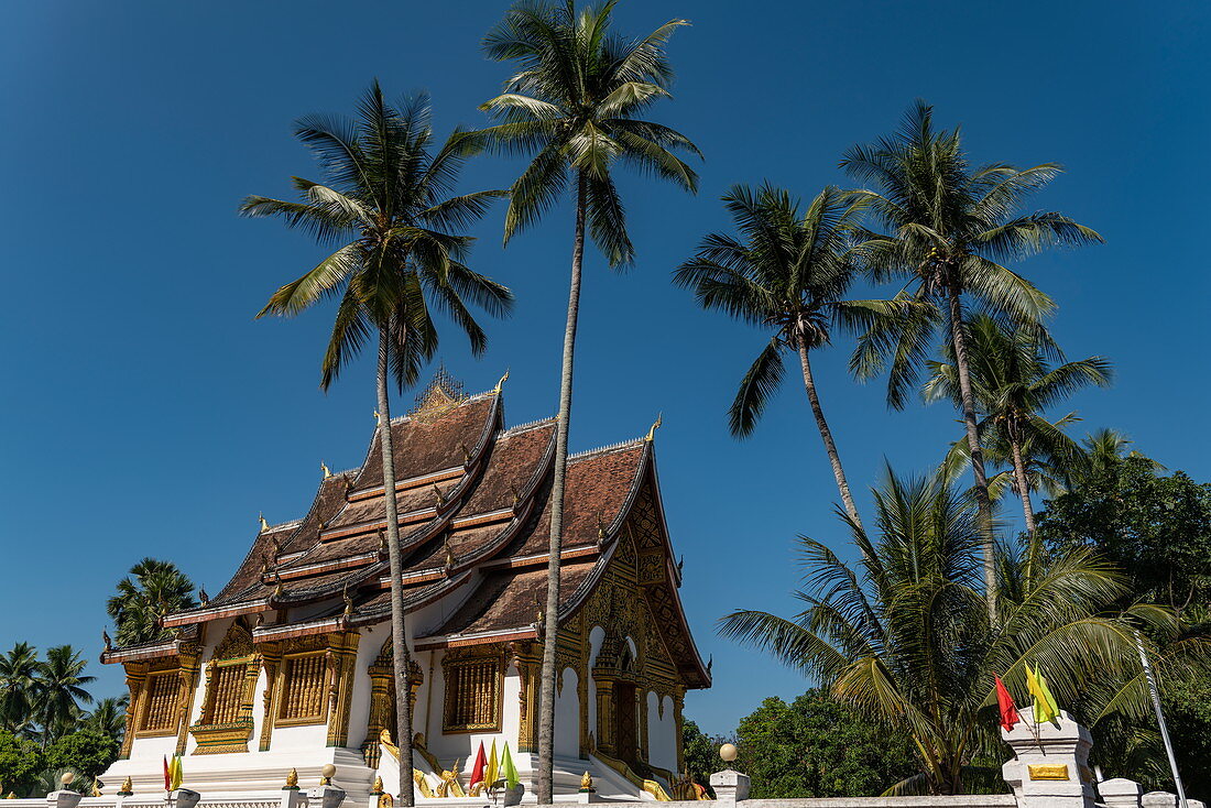 Coconut palms and roof of Haw Pha Bang (Royal Temple) next to the Royal Palace, Luang Prabang, Luang Prabang Province, Laos, Asia
