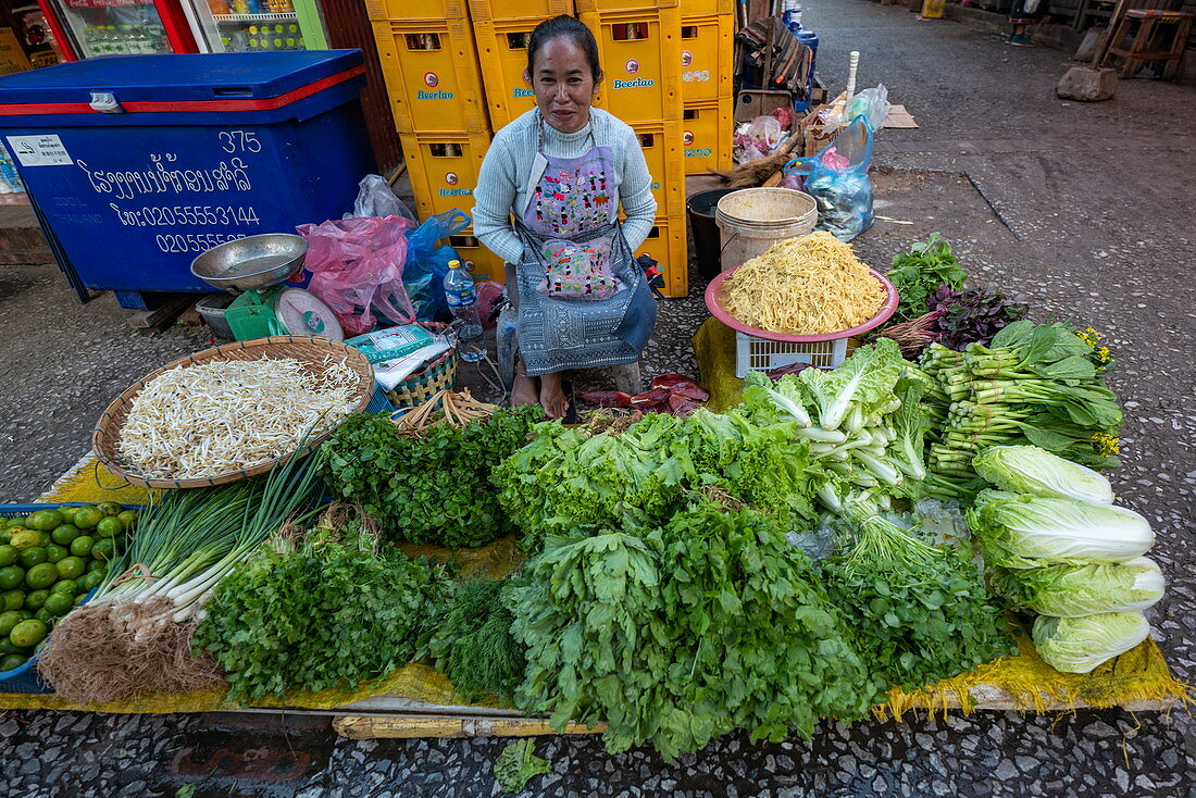 Frau verkauft Obst und Gemüse auf dem Morgenmarkt, Luang Prabang, Provinz Luang Prabang, Laos, Asien
