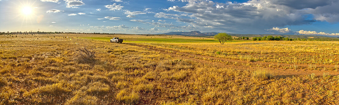 Pickup auf der Fire Road 182, die Präriegrünland in der Nähe von Drake im Prescott National Forest, Arizona, Vereinigte Staaten von Amerika, Nordamerika erkundet