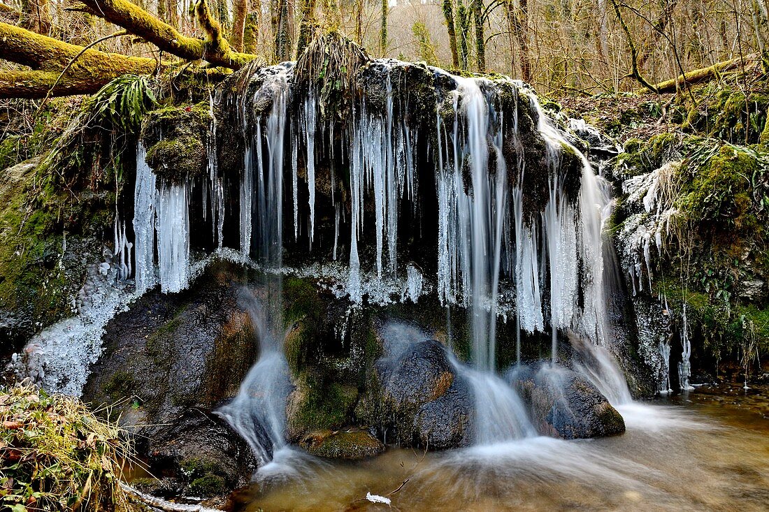 France, Doubs, Blamont, waterfall of the hollow, winter, ice