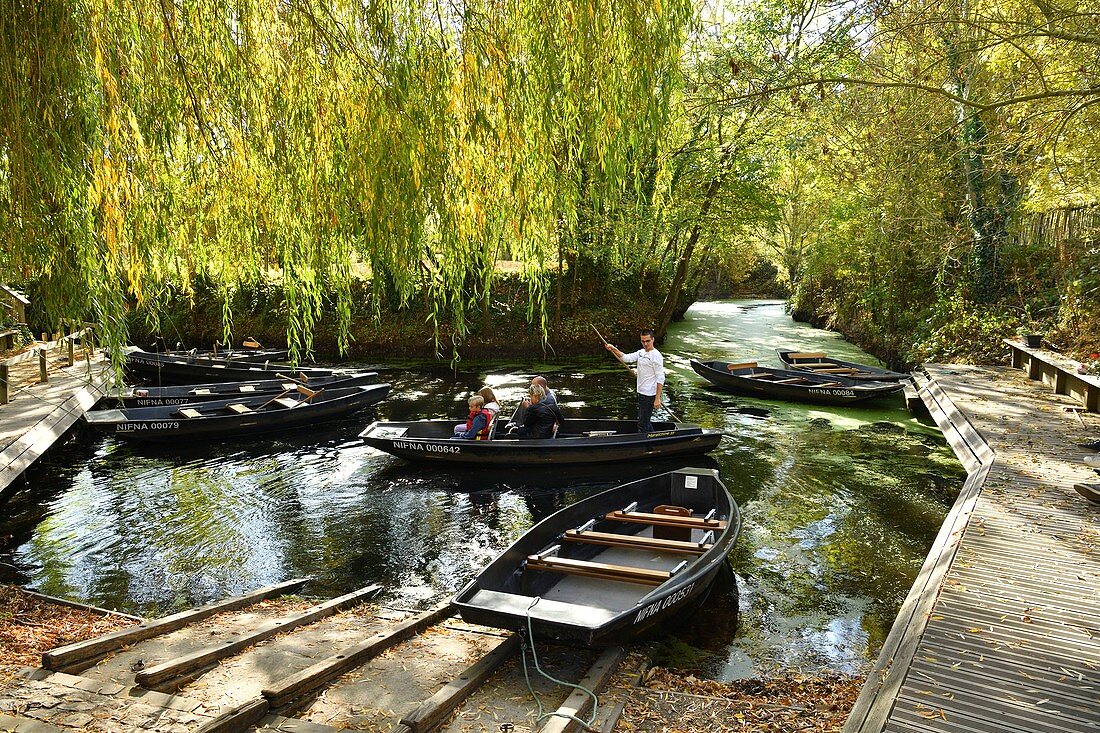 France, Vendee, Interregional Park of the Marais Poitevin labelled Great Site of France (Grand Site de France), Maillezais, Abbaye jetty, boat trip on the tributaries of the Sevre Niortaise