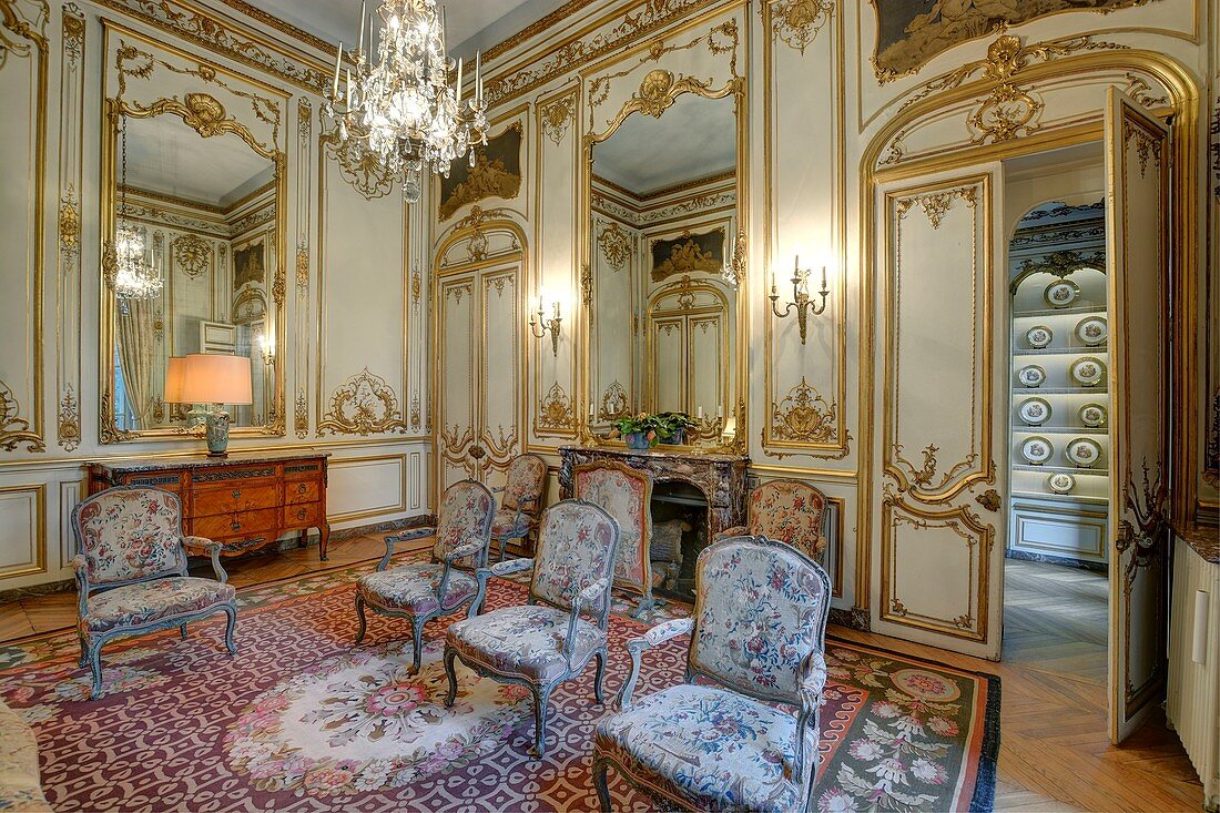 France, Paris, hotel de Besenval, embassy of Switzerland, the salon