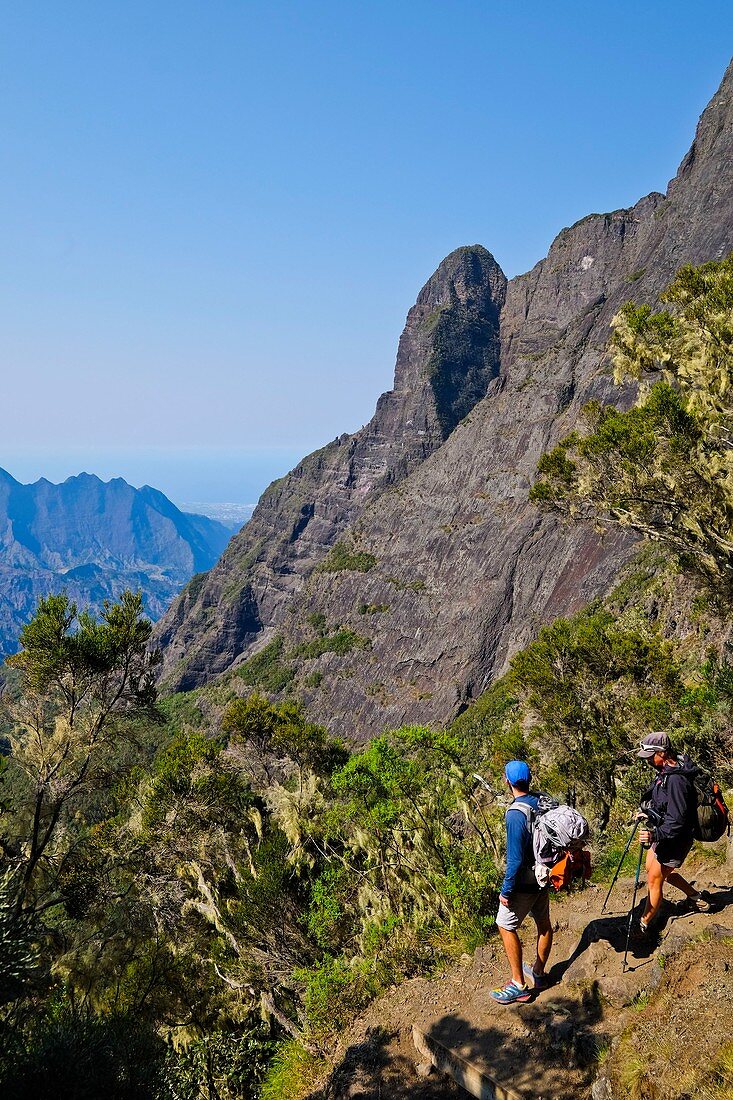 France, Reunion island, Cilaos, view on the Fleurs Jaunes peak from the Taibit ascent, listed as World Heritage by UNESCO