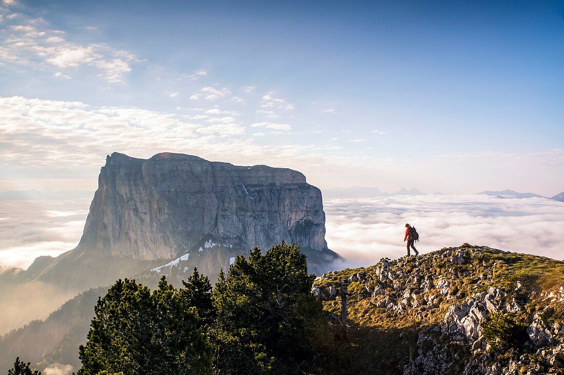 Frankreich, Isere, Vercors Regionaler Naturpark, Nationales Hochland Vercors Naturschutzgebiet, Mont Aiguille (2086 m) taucht aus einem Wolkenmeer auf