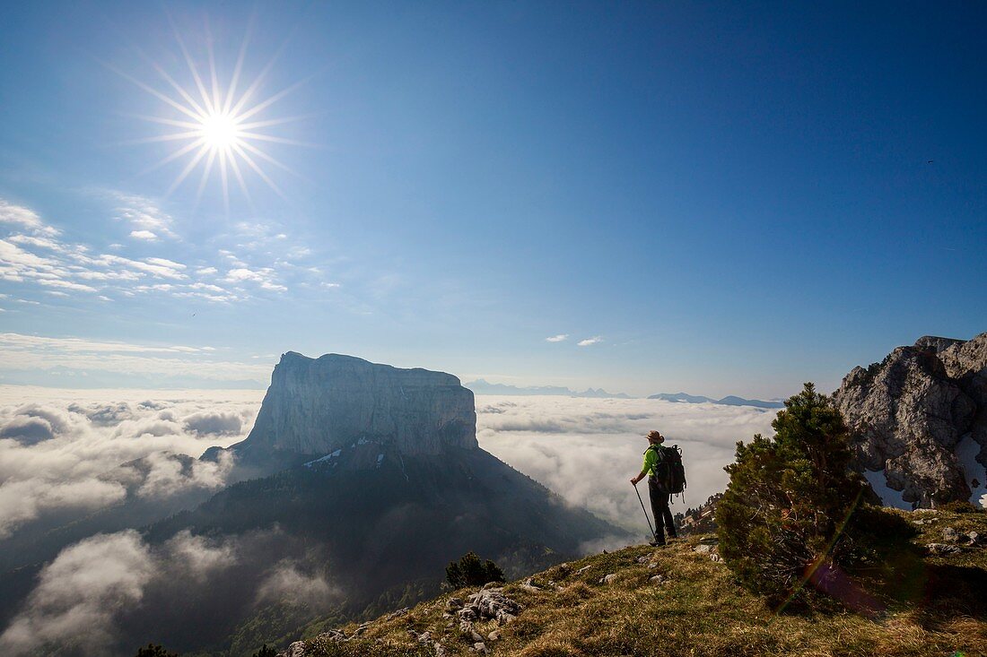 France, Isere, Vercors Regional Natural Park, National Highlands Vercors Nature Reserve, Mont Aiguille (2086m) emerges from a sea of clouds