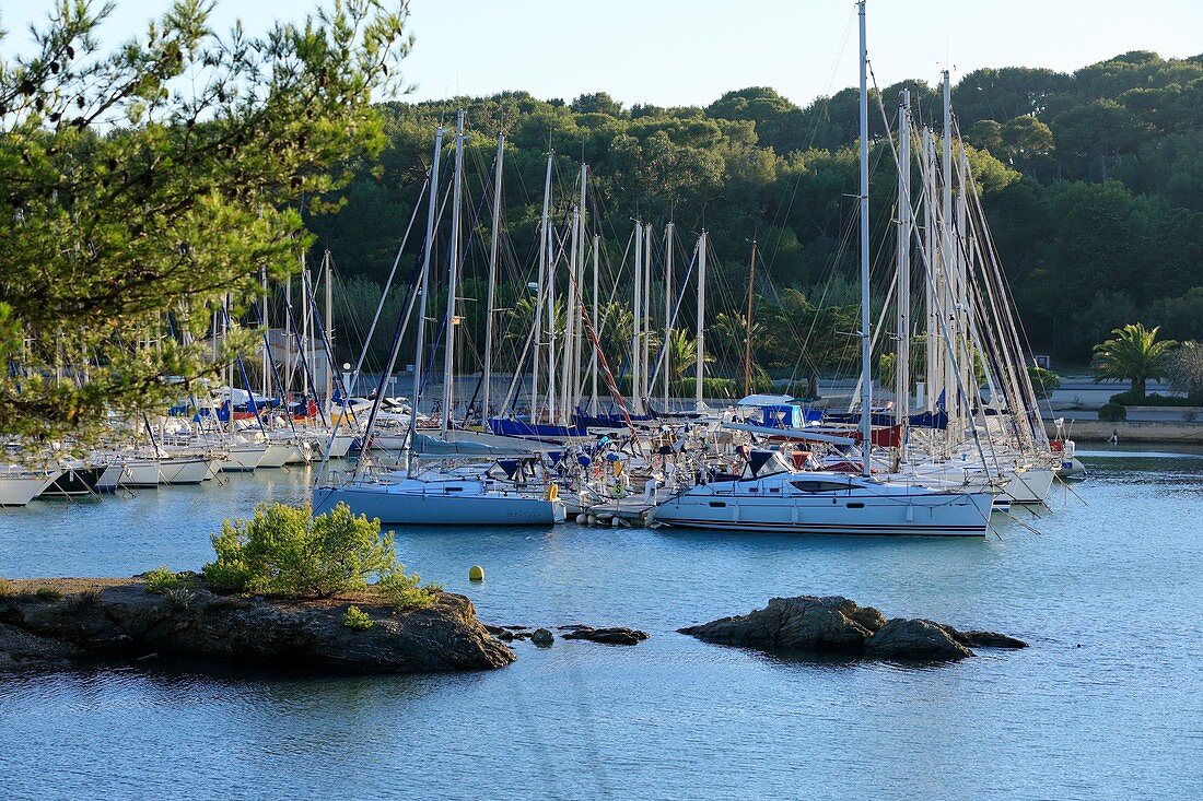 Frankreich, Var, Six Fours Strände, Archipel des Embiez, Insel La Tour Fondue, Hafen von Saint Pierre