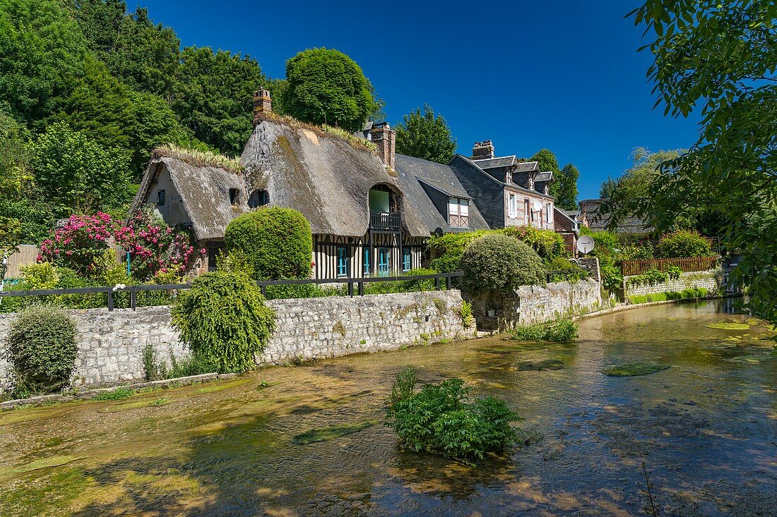 France, Normandy, Seine Maritime, Veules les Roses, The Most Beaul Villages of France, cottage on the banks of the Veules