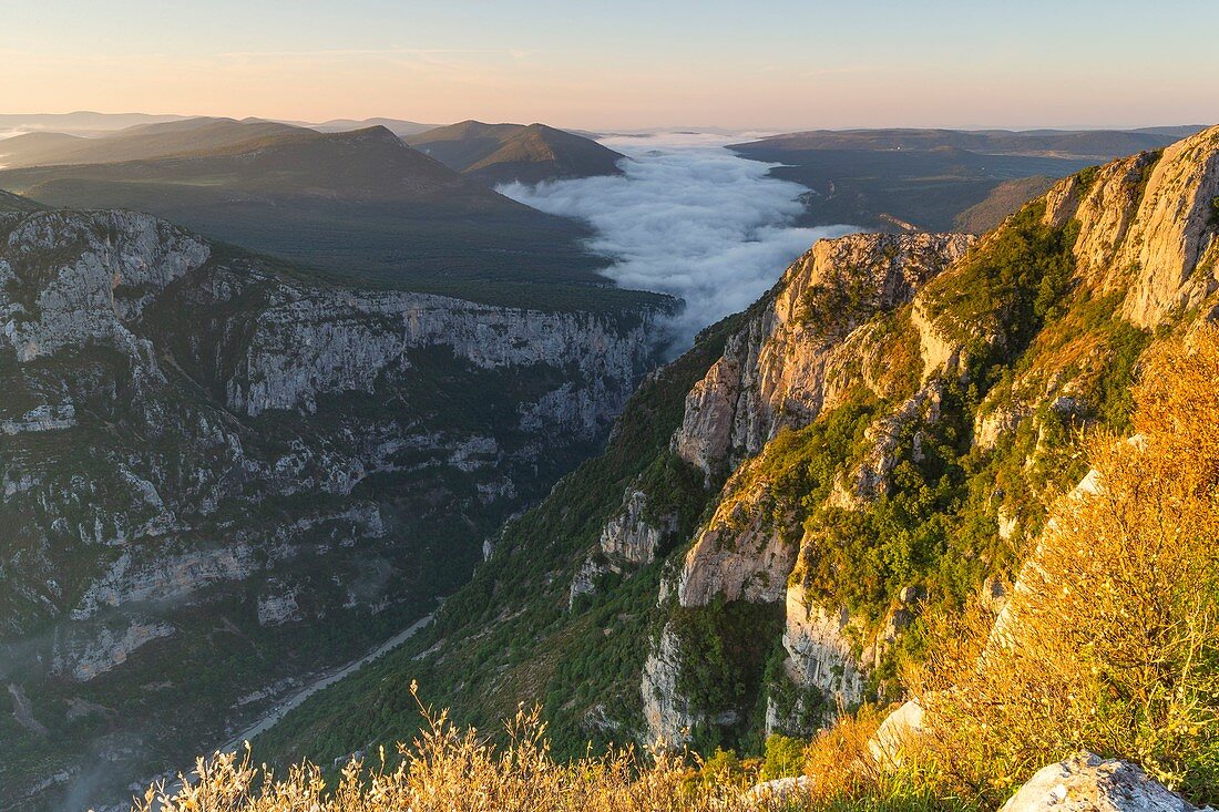 France, Alpes-de-Haute-Provence, Verdon Regional Nature Park, Grand Canyon du Verdon, cliffs seen from the Pas de la Bau belvedere