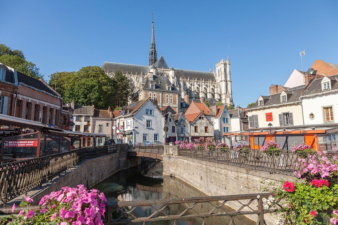 Frankreich, Somme, Amiens, Kathedrale Notre Dame von Amiens, von der UNESCO zum Weltkulturerbe erklärt