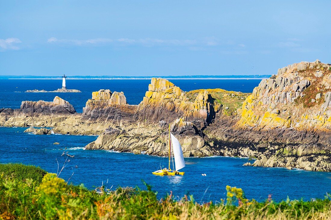 France, Ille-et-Vilaine, Emerald Coast, Cancale, Pointe du Grouin, view over Landes island and Pierre-de-Herpin lighthouse