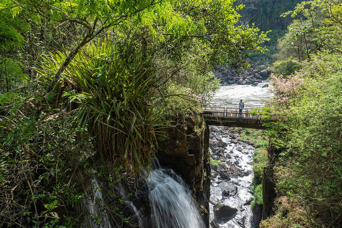 Bridge over waterfall at Iguazu Falls, Iguazu National Park, Misiones, Argentina, South America