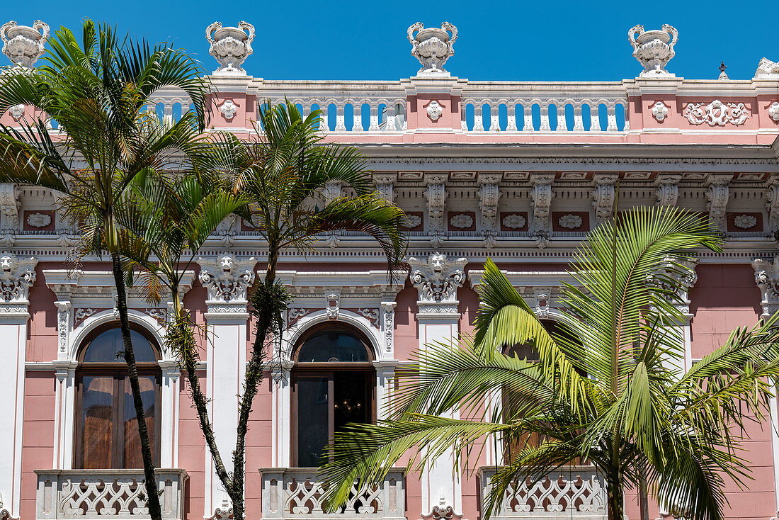 Palm trees in front of Cruz e Sousa Palace and Santa Catarina Museum of History, Florianopolis, Santa Catarina, Brazil, South America