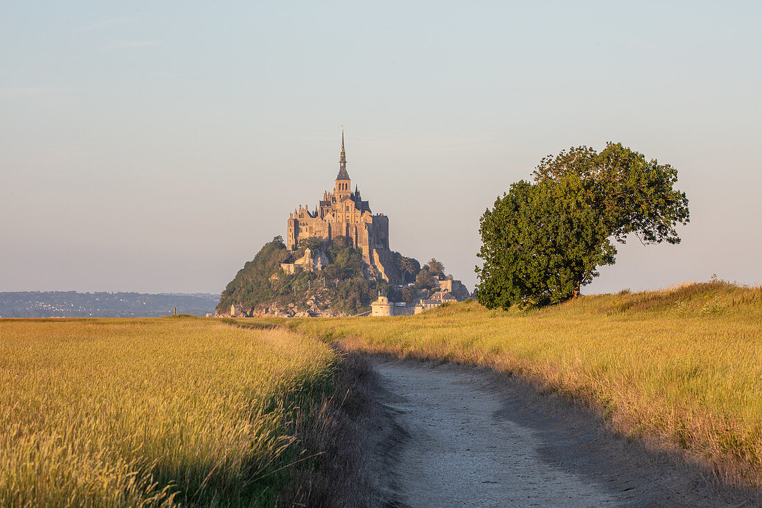 Blick über die Salzwiesen auf die felsige Insel Mont Saint Michel mit dem gleichnamigen Kloster, Normandie, Frankreich