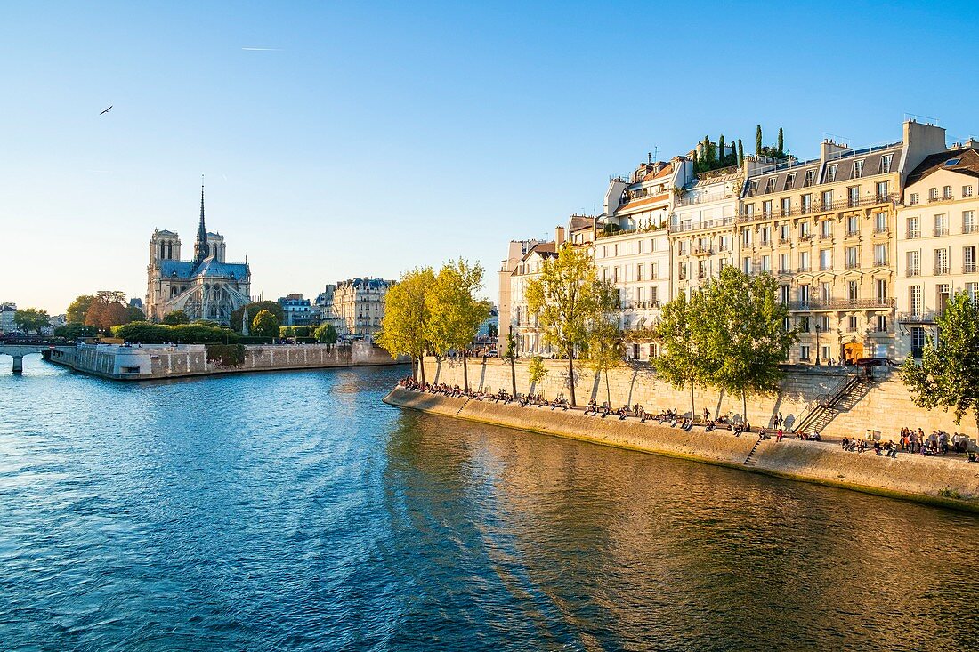 Frankreich, Paris, Gebiet, das von der UNESCO zum Weltkulturerbe erklärt wurde, der Seine-Damm, die Insel Saint Louis und die Ile de la Cite mit der Kathedrale Notre Dame