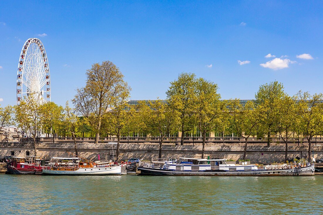 Frankreich, Paris, Gebiet, das von der UNESCO zum Weltkulturerbe erklärt wurde, die Ufer der Seine, Quai François Mitterrand