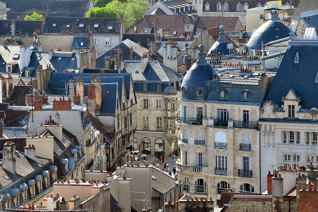 France, Cote d'Or, Dijon, area listed as World Heritage by UNESCO, a view from the tower Philippe le Bon (Philip the Good) of the Palace of the Dukes of Burgundy