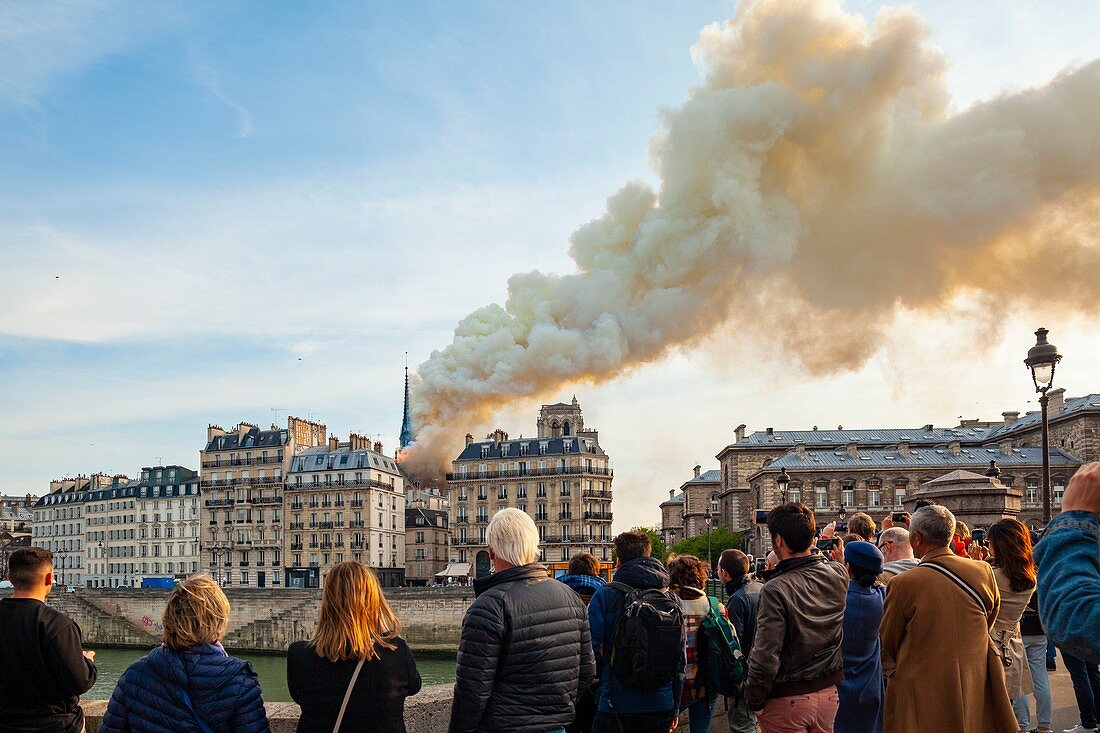 France, Paris, area listed as World Heritage by UNESCO, Notre Dame de Paris Cathedral, fire which ravaged the cathedral on April 15,
