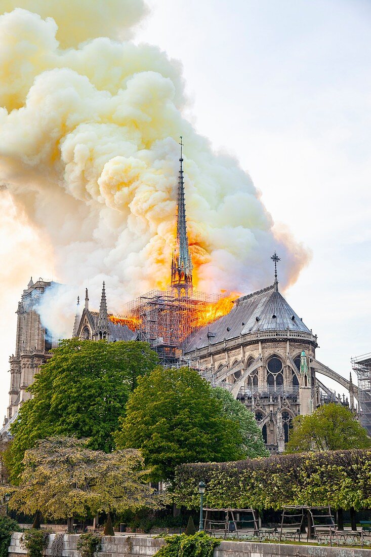 Frankreich, Paris, Gebiet, das von der UNESCO zum Weltkulturerbe erklärt wurde, Ile de la Cite, Kathedrale Notre Dame de Paris, Brand, der die Kathedrale am 15. April verwüstete