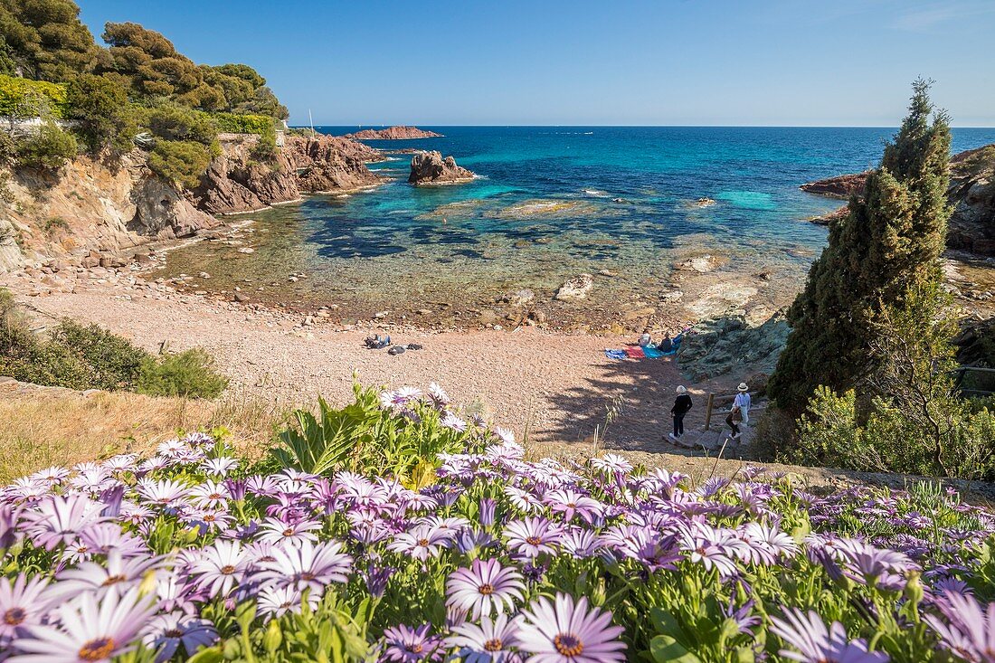 Frankreich, Var, Corniche von Esterel, Agay-Gemeinde von Saint Raphael, die Bucht der Baumette