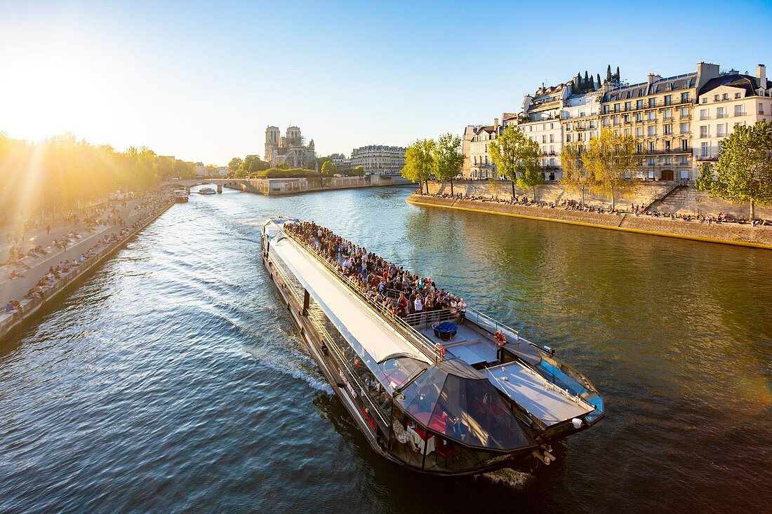 France, Paris, area listed as World heritage by UNESCO, Ile de la Cite, Notre Dame Cathedral and a fly boat at sunset