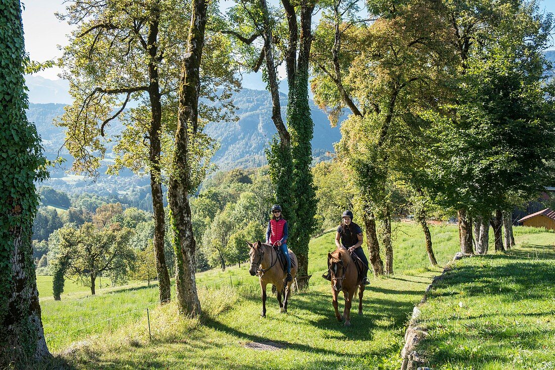 Frankreich, Haute Savoie, Mieussy, Reiten entlang der Giffre von Sommand, in den Almen