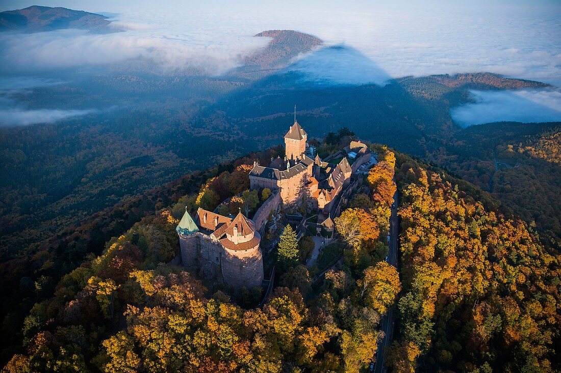 Frankreich, Bas Rhin, Orschwiller, Elsass Weinstraße, Schloss Haut Koenigsbourg (Luftbild)