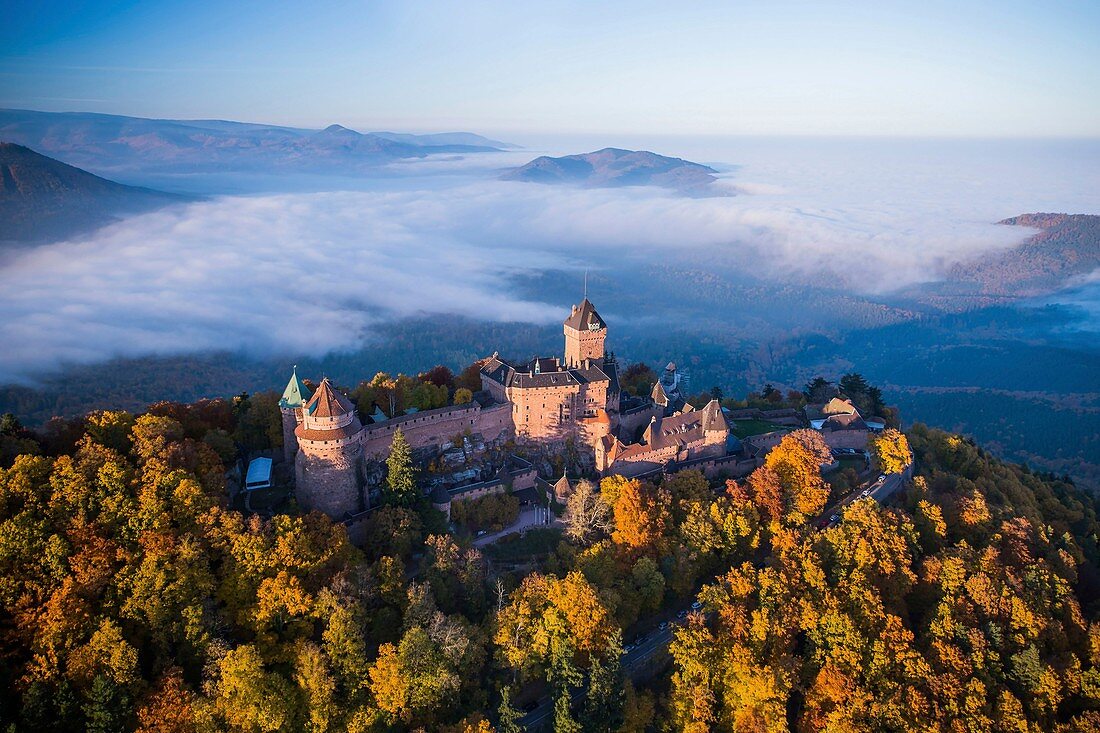 Frankreich, Bas Rhin, Orschwiller, Elsass Weinstraße, Schloss Haut Koenigsbourg (Luftbild)