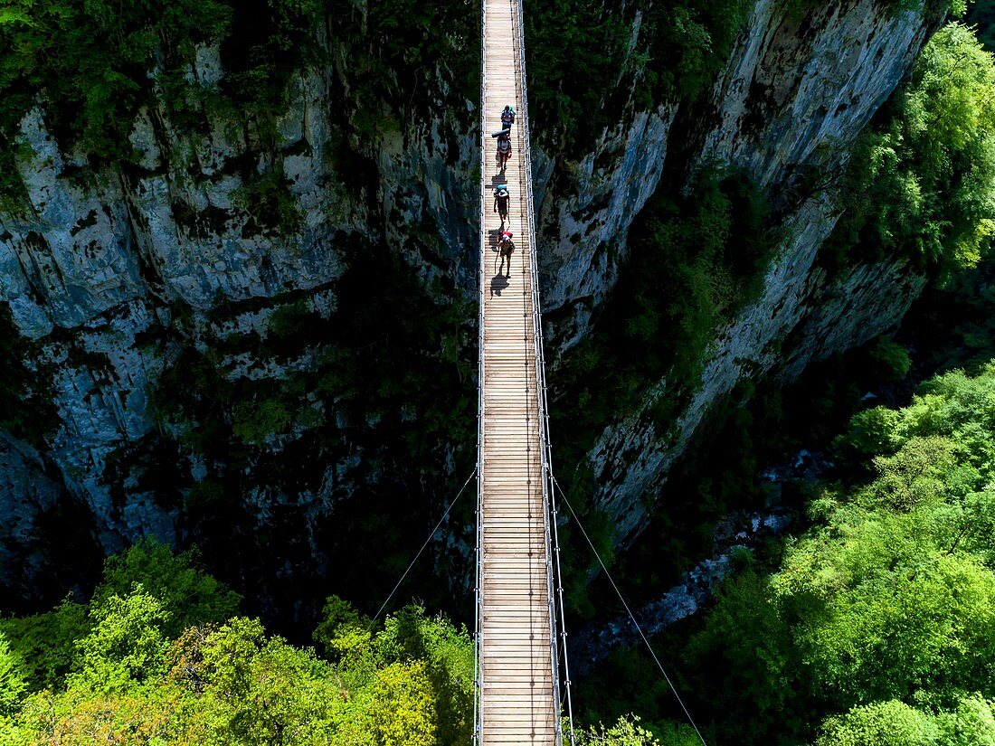 France, Pyrenees Atlantiques, Basque Country, Haute Soule valley, the footbridge of Holzarte, Olhadubi canyon, Gave de Larrau