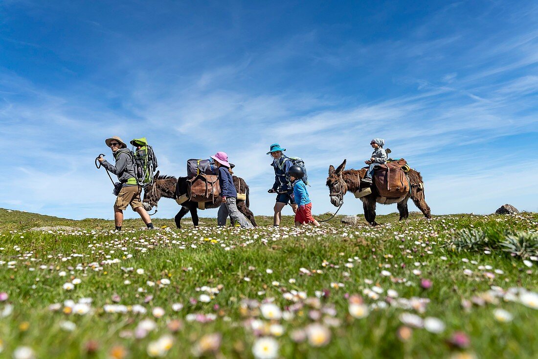 Frankreich, Pyrenees Atlantiques, Baskenland, Saint Etienne de Baigorry, Familie Wandern auf einem Esel auf den Wegen von Saint Jacques de Compostelle