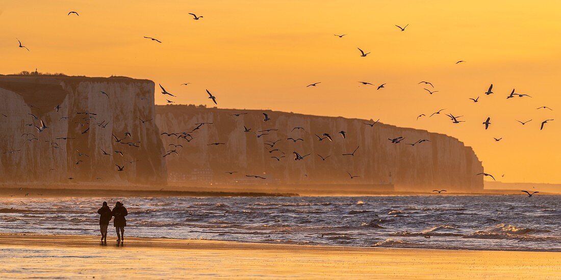 Frankreich, Somme, Ault, Sonnenuntergang auf den Klippen vom Strand von Ault, Wanderer und Fotografen kommen, um die Landschaft und die Seevögel zu bewundern