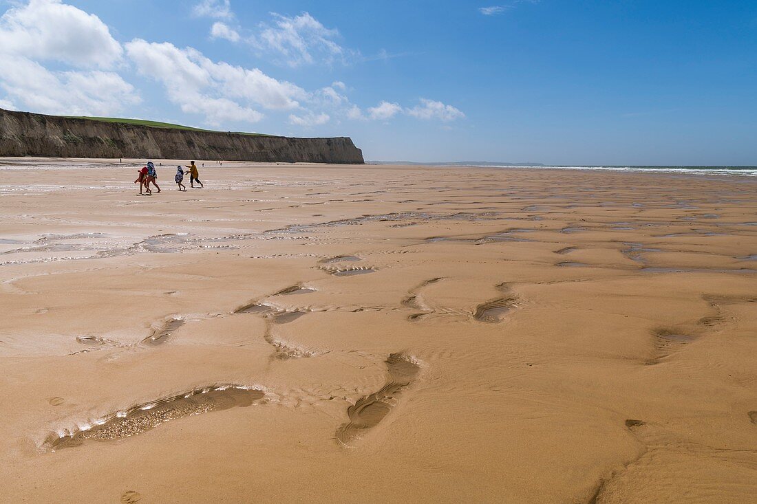 Frankreich, Pas de Calais, Opalküste, Great Site der beiden Caps, Escalles, Cap Blanc nez, der Strand von Escalles und die Klippen des Cap Blanc Nez