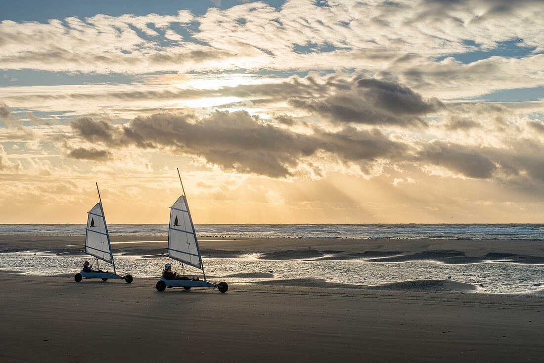 France, Somme (80), Marquenterre, Quend-Plage, The large sandy beaches of the windswept coast of Picardy are an ideal place for the practice of the sail-hauler, at sunset