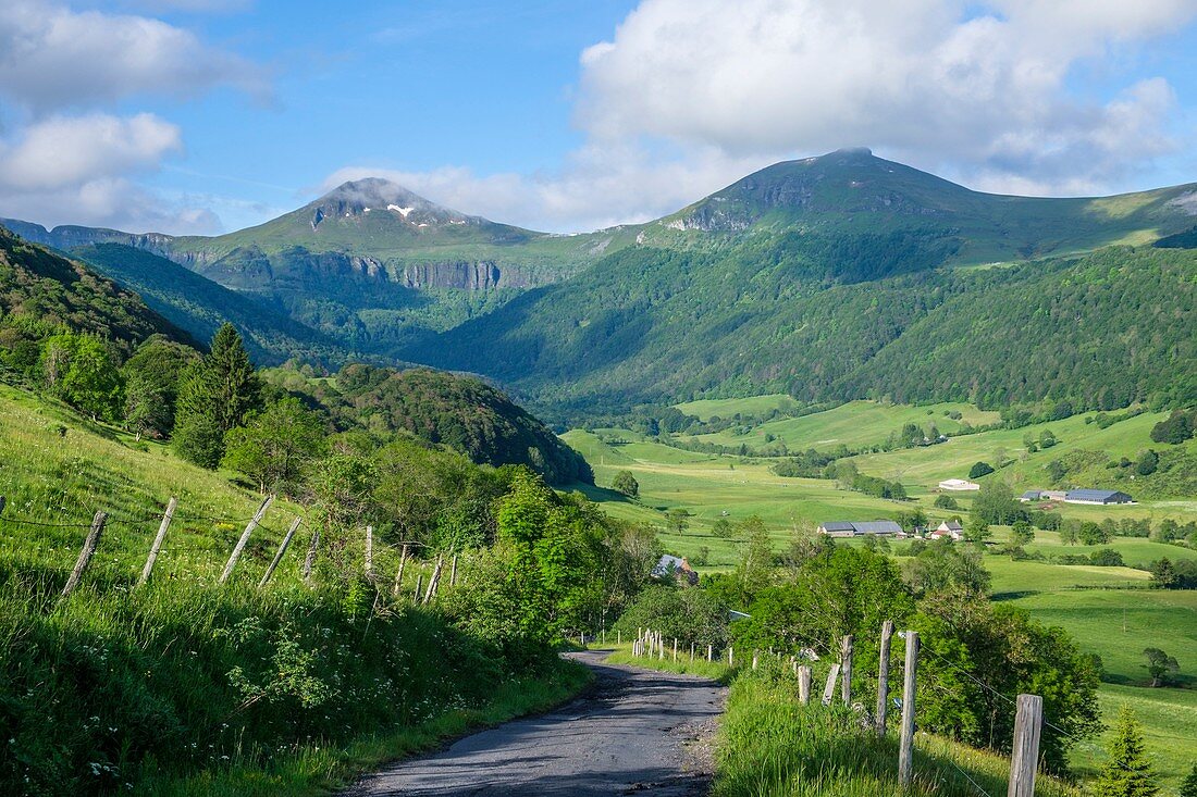 Frankreich, Cantal, Regionaler Naturpark der Vulkane der Auvergne, Monts du Cantal (Berge Cantal), Vallée de Cheylade (Cheylade-Tal) in der Nähe von Le Claux
