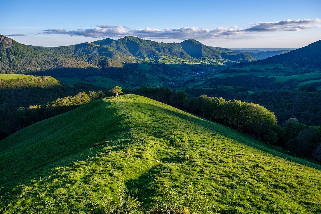 Frankreich, Cantal, Regionaler Naturpark der Vulkane der Auvergne, Monts du Cantal, Cantal Berge, Vallee de Mandailles (Mandailles-Tal), Puy Usclade und Puy Elanceze