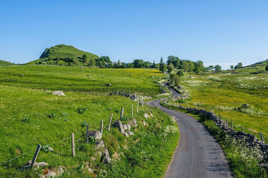 Frankreich, Lozere, Regionaler Naturpark Aubrac, Route von Santiago de Compostela auf der Hochebene von Aubrac, die von der UNESCO zum Weltkulturerbe erklärt wurde, Landschaft in der Nähe von Marchastel