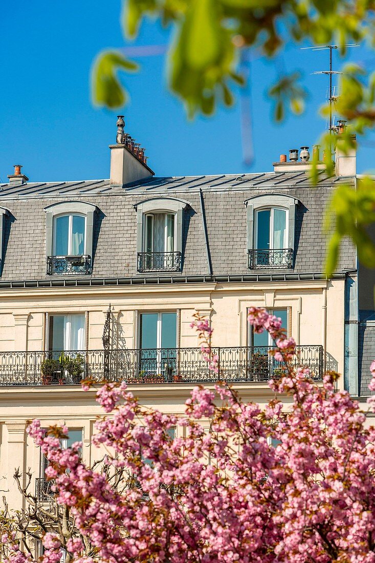 Frankreich, Val de Marne, Saint Mande im Frühjahr