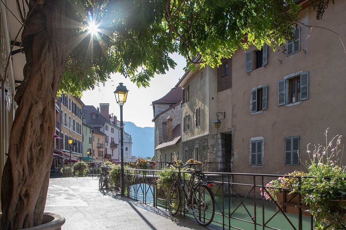 Frankreich, Haute Savoie, Annecy, Altstadt am Thiou-Ufer, Isle Quays, Schein der Sonne durch eine Glyzinie