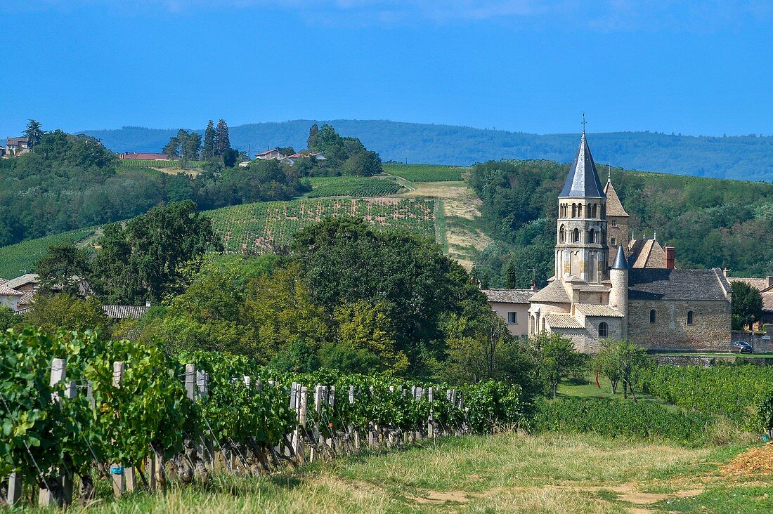 Frankreich, Saone et Loire, Chanes, Weinberge auf einem Hügel mit einem Dorf im Hintergrund