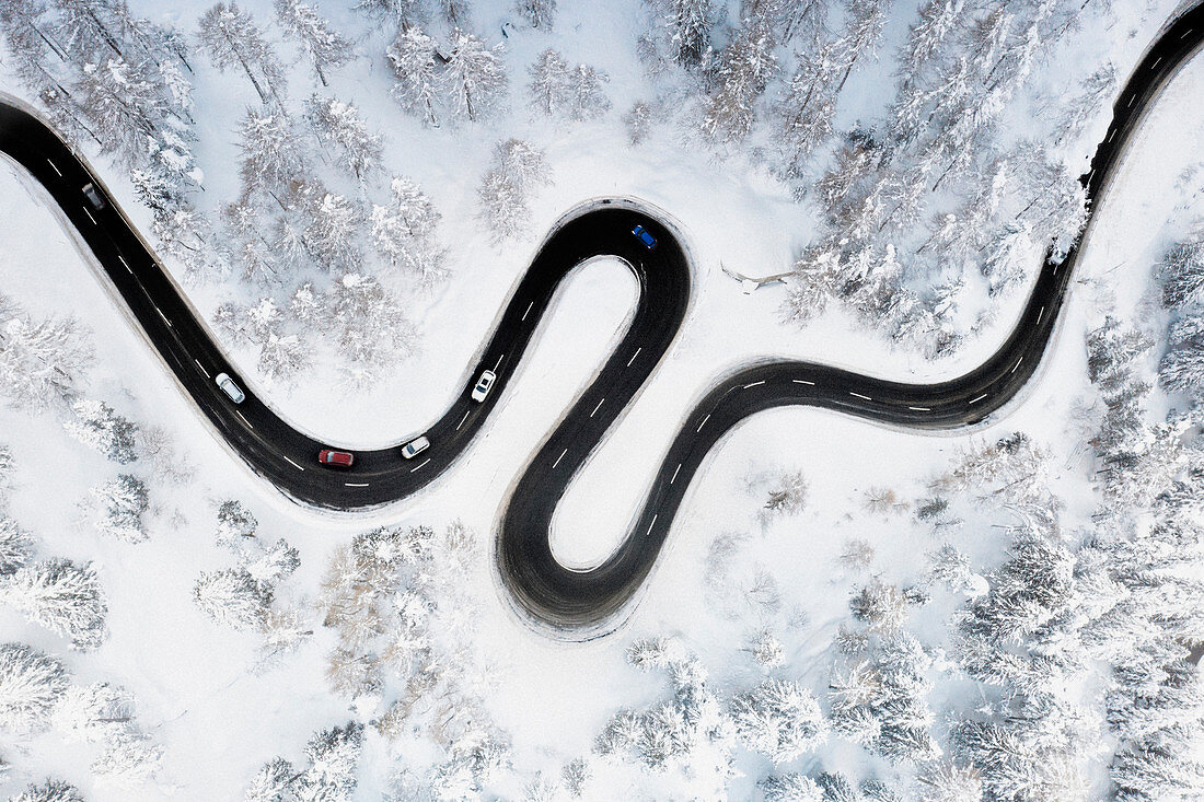 Aerial view of s-shape mountain road along the winter forest covered with snow, Switzerland, Europe