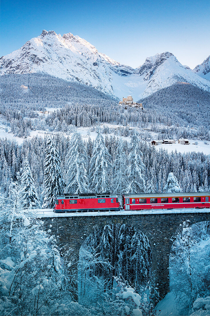 Bernina Express train in the winter forest covered with snow surrounding Tarasp Castle, Engadine, Graubunden Canton, Switzerland,  Europe