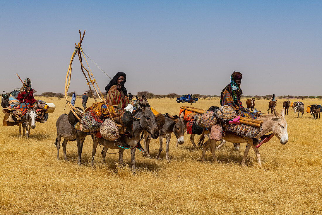Peul Frau mit ihren Kindern auf ihren Eseln in der Sahelzone, Niger, Afrika