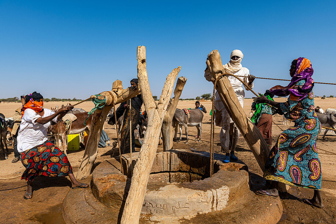 Tuaregs sammeln Wasser aus einem Wasserloch in der Sahelzone nördlich von Agadez, Niger, Afrika