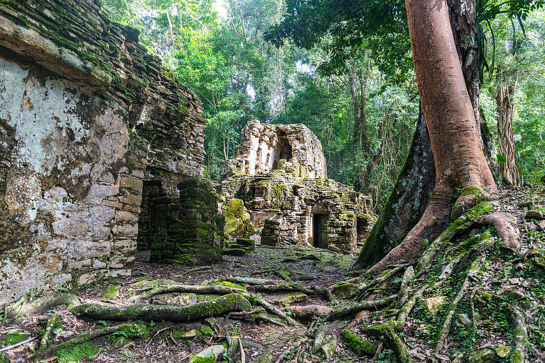 Archäologische Maya-Stätte von Yaxchilan im Dschungel von Chiapas, Mexiko, Nordamerika