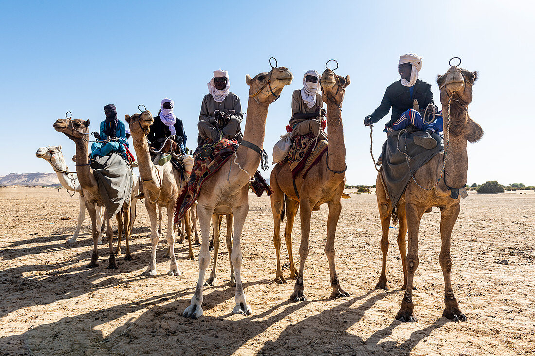 Tuaregs auf ihren Kamelen, Bilma, Tenere Wüste, Niger, Westafrika, Afrika