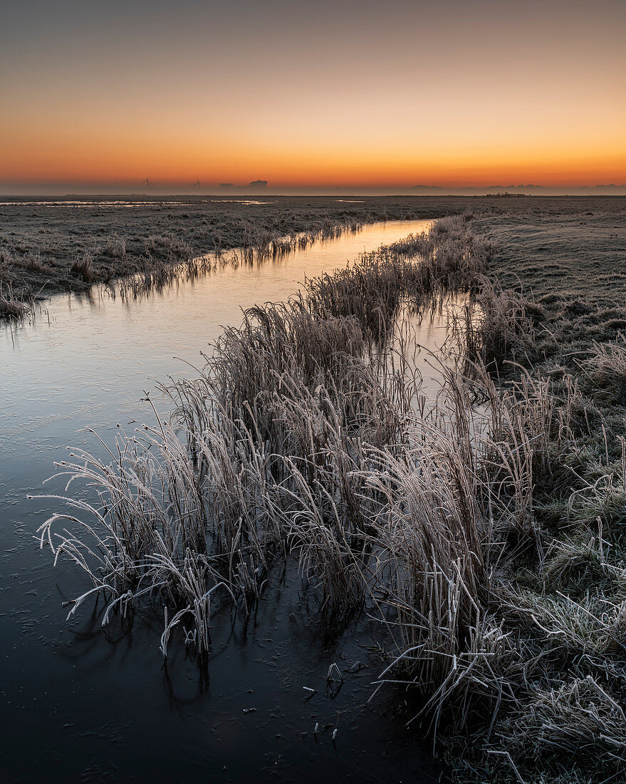 Dawn in winter, Elmley National Nature Reserve, Isle of Sheppey, Kent, England, United Kingdom, Europe