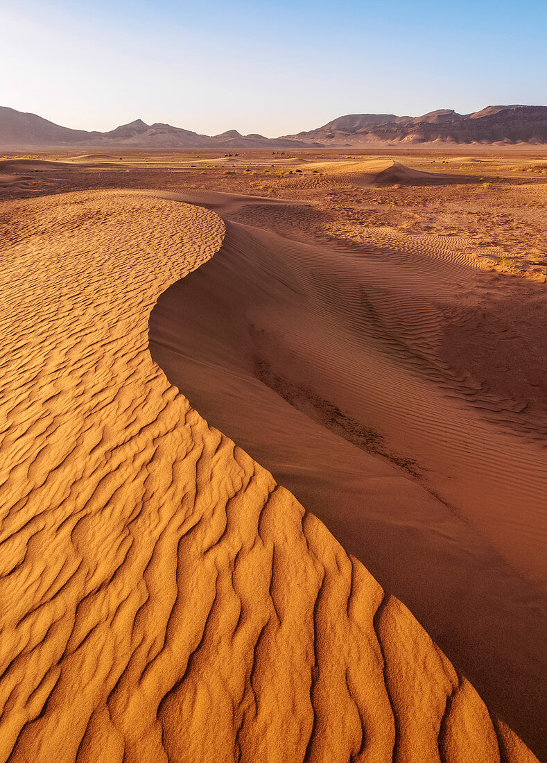 Zagora Desert at sunrise, Draa-Tafilalet Region, Morocco, North Africa, Africa