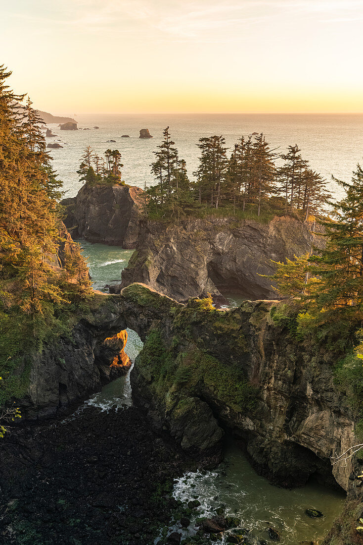 Landscape at sunset at the natural bridges in Samuel H. Boardman Scenic Corridor State Park, Brookings, Curry county, Oregon, United States of America, North America