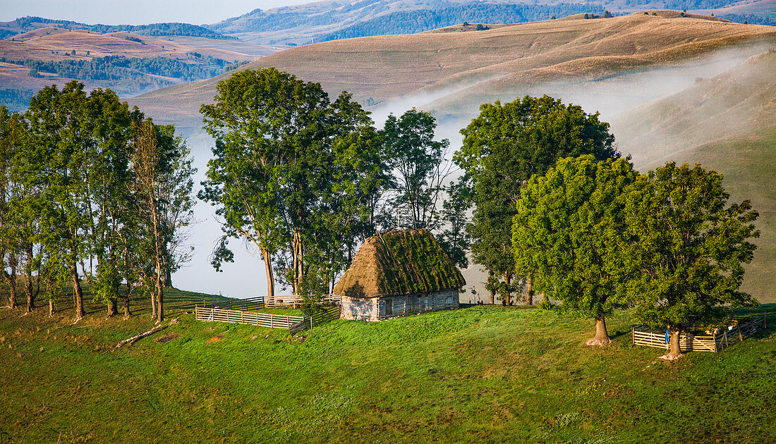 Rural landscape with traditional thatched roof wooden cottages in Dumesti, Apuseni mountains, Romania, Europe